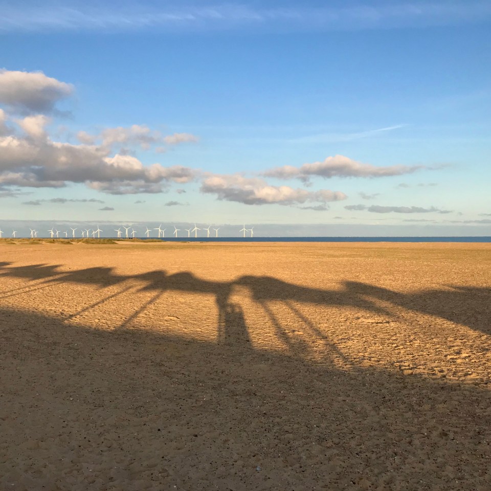 Postcards From Great Yarmouth | Beach Shadow 2020